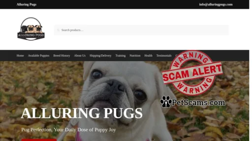 Scam Website: Alluring Pugs – Pug Perfection, Your Daily Dose of Puppy Joy