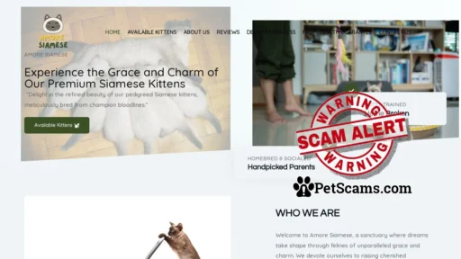 Scam Website: Amore Siamese – Amore Siamese