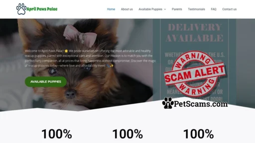 Scam Website: No Title Found