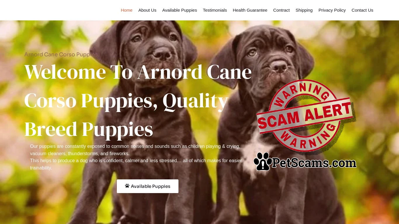 is Arnord Cane Corso Puppies legit? screenshot