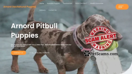 Scam Website: Arnord Dachshund Puppies – Purebred Dachshund Puppies For Sale