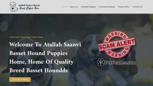 Scam Website: Atallah Saanvi Basset Hound Puppies Home