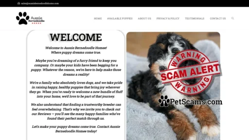 Scam Website: Bernedoodle Puppies – Licensed Bernedoodle Breeder