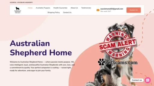 Scam Website: australian pups for sale – From Our Home to Yours—Exceptional Australian Shepherds.