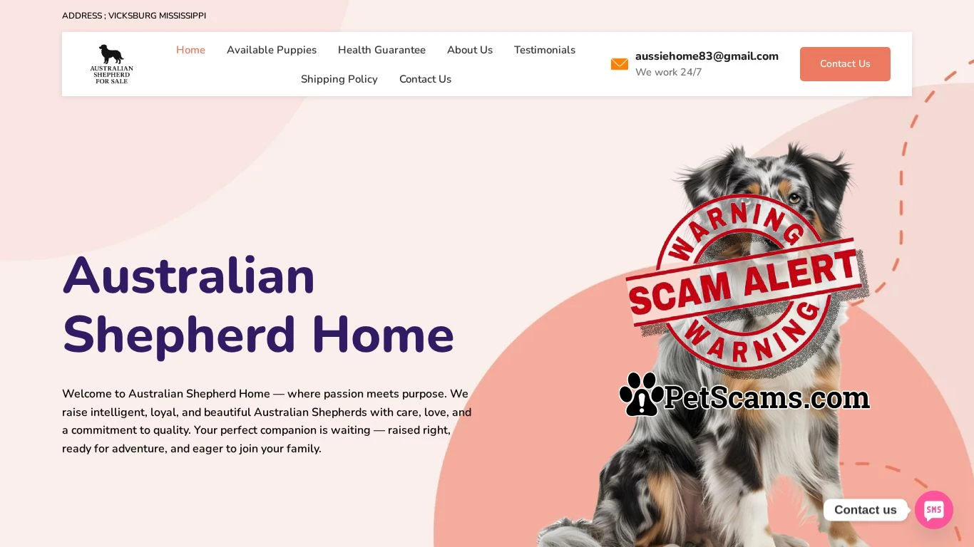 is australian pups for sale – From Our Home to Yours—Exceptional Australian Shepherds. legit? screenshot