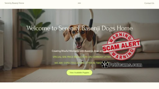 Scam Website: Serenity Basenji dog puppies Home | Basenji dog puppies
