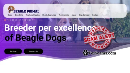 Scam Website: Beagle Primal