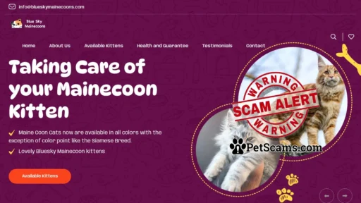 Scam Website: Blue Sky Mainecoons