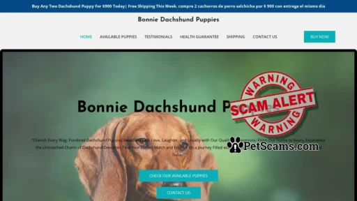 Scam Website: Bonnie Dachshund Puppies – Purebred Dachshund Puppies For Sale