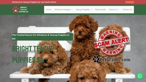 Scam Website: Premium Teacup Puppies for Sale | Bright Teacup Puppies SA
