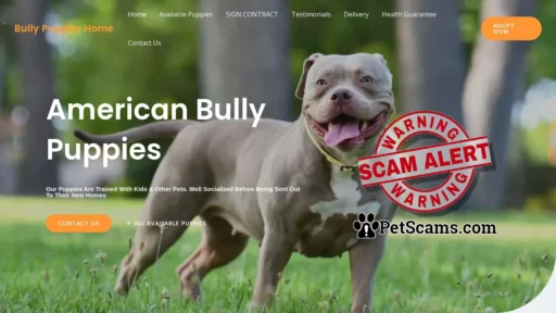 Scam Website: Bully Puppies Home – Purebred Pitbull Puppies For Sale