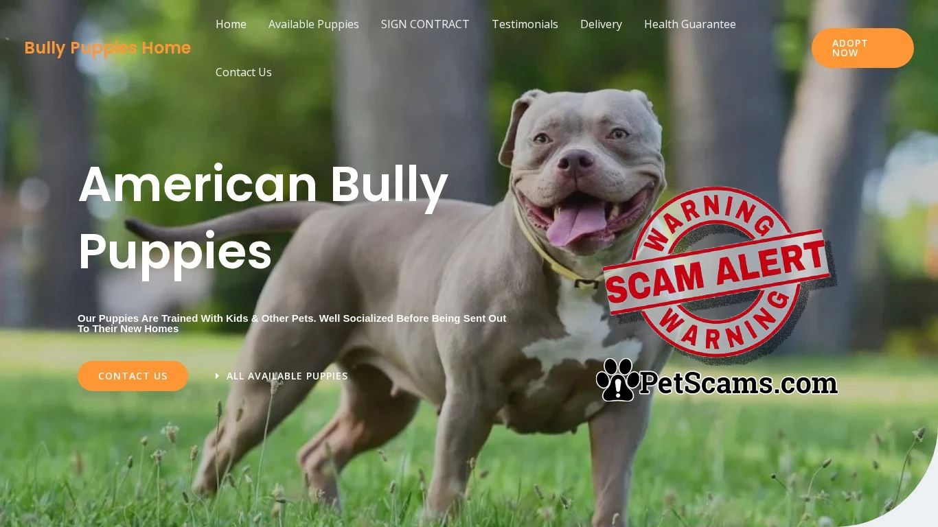 is Bully Puppies Home – Purebred Pitbull Puppies For Sale legit? screenshot
