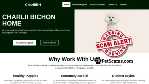 Scam Website: Charlii Bichon Home – Bichon Frise Puppies