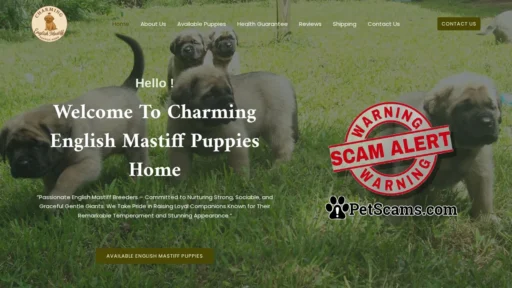 Scam Website: Charming English Mastiff Puppies Home