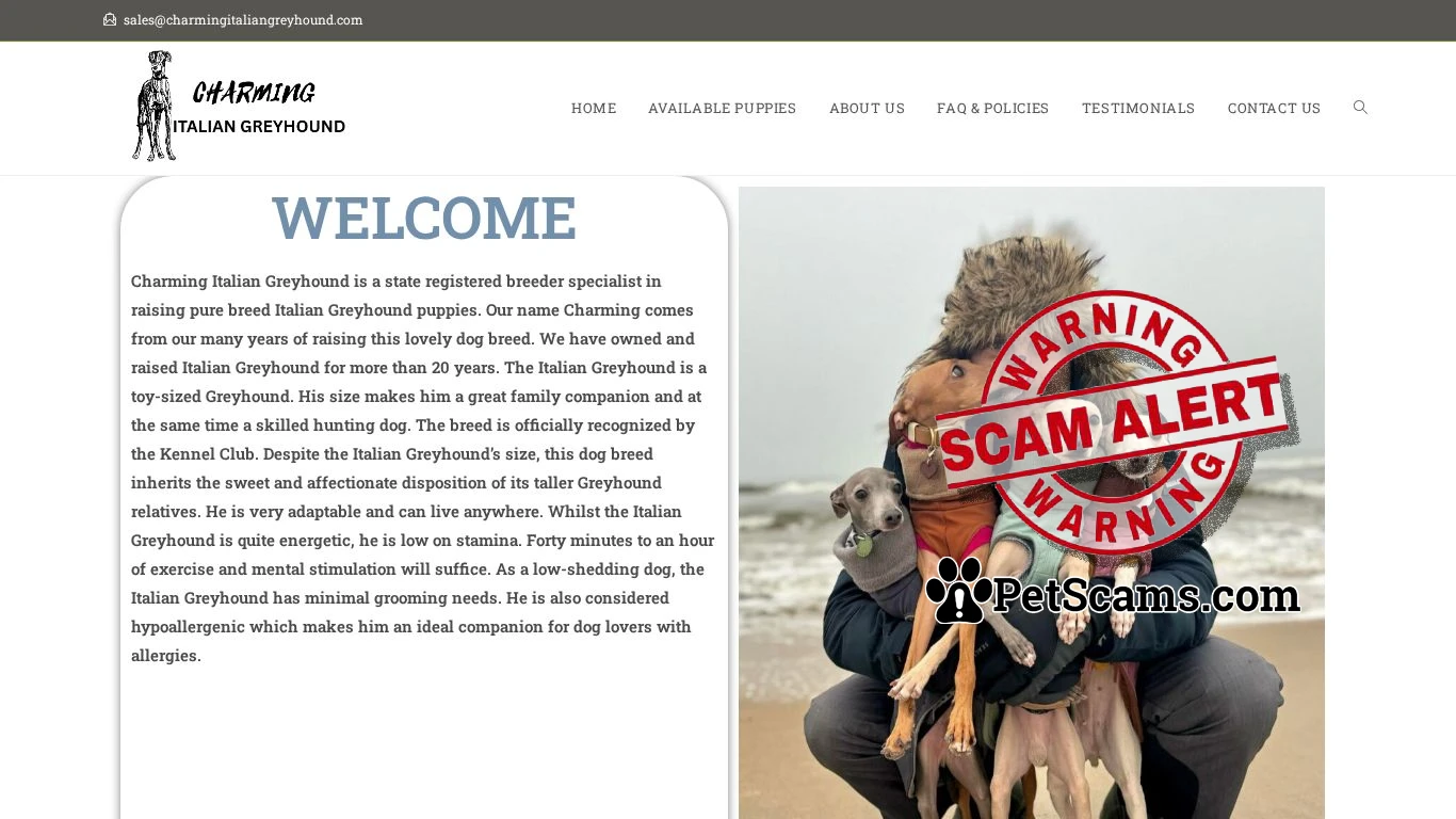 is Charming Italian greyhound – Licensed Italian greyhound Breeders legit? screenshot