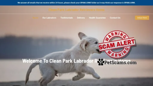 Scam Website: Clean Park Labrador Retrievers Home – Purebred Labrador Retrievers For Sale