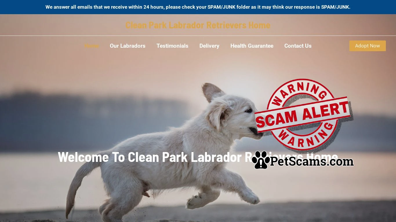 is Clean Park Labrador Retrievers Home – Purebred Labrador Retrievers For Sale legit? screenshot