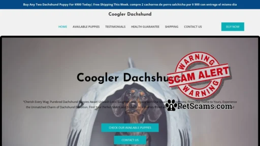 Scam Website: Coogler Dachshund – Purebred Dachshund Puppies For Sale