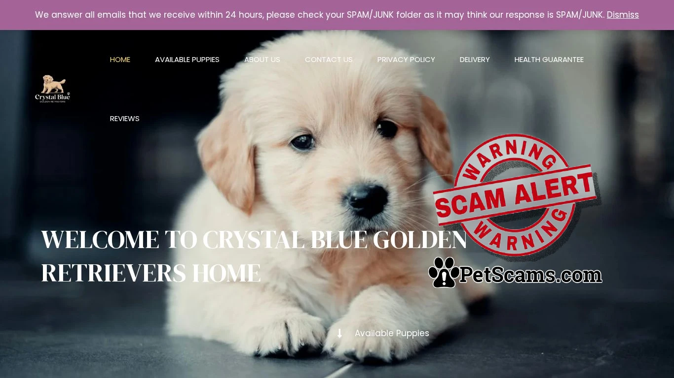 is Crystal Blue Golden Retrievers – Crystal Blue Golden Retrievers legit? screenshot