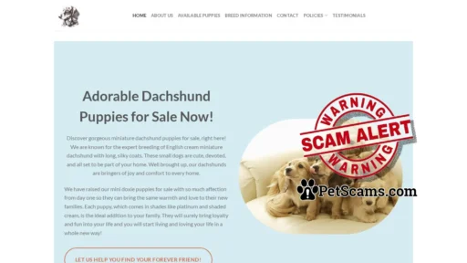 Scam Website: Home - Cute Dachshunds Home