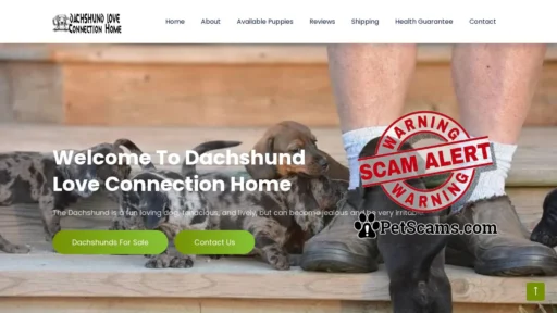 Scam Website: Home | Dachshund Love Connection Home