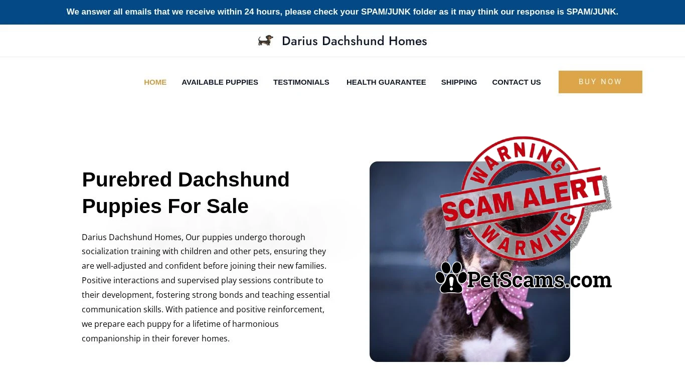 is Darius Dachshund Homes – Purebred Dachshund Puppies For Sale legit? screenshot