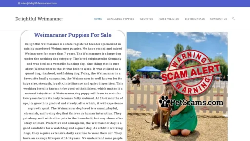 Scam Website: Delightful Weimaraner – Licensed Weimaraner Breeders