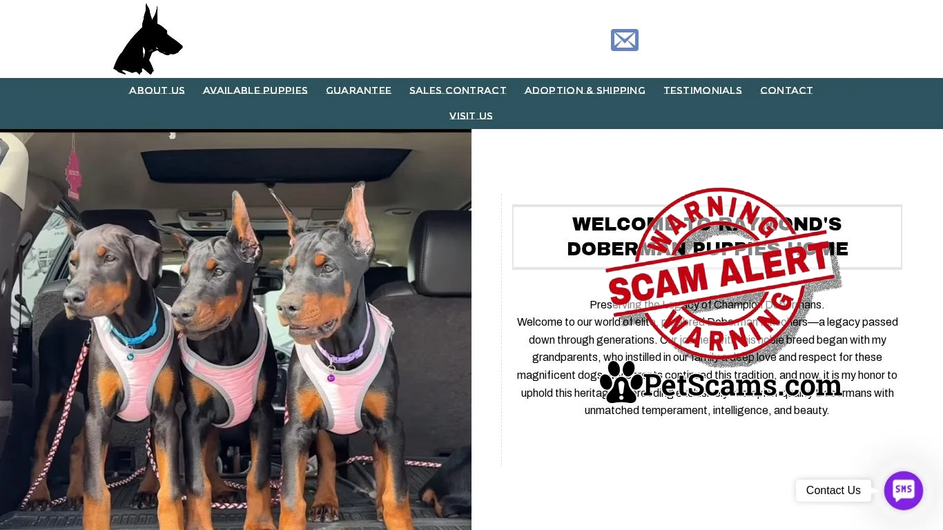 is Raymond Doberman Puppies Home – Raymond Doberman Puppies Home legit? screenshot