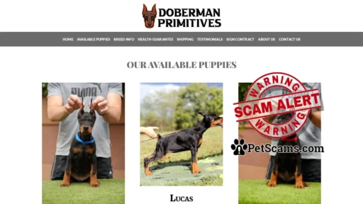 Scam Website: Doberman Primitives – Cute Doberman Puppies For Sale
