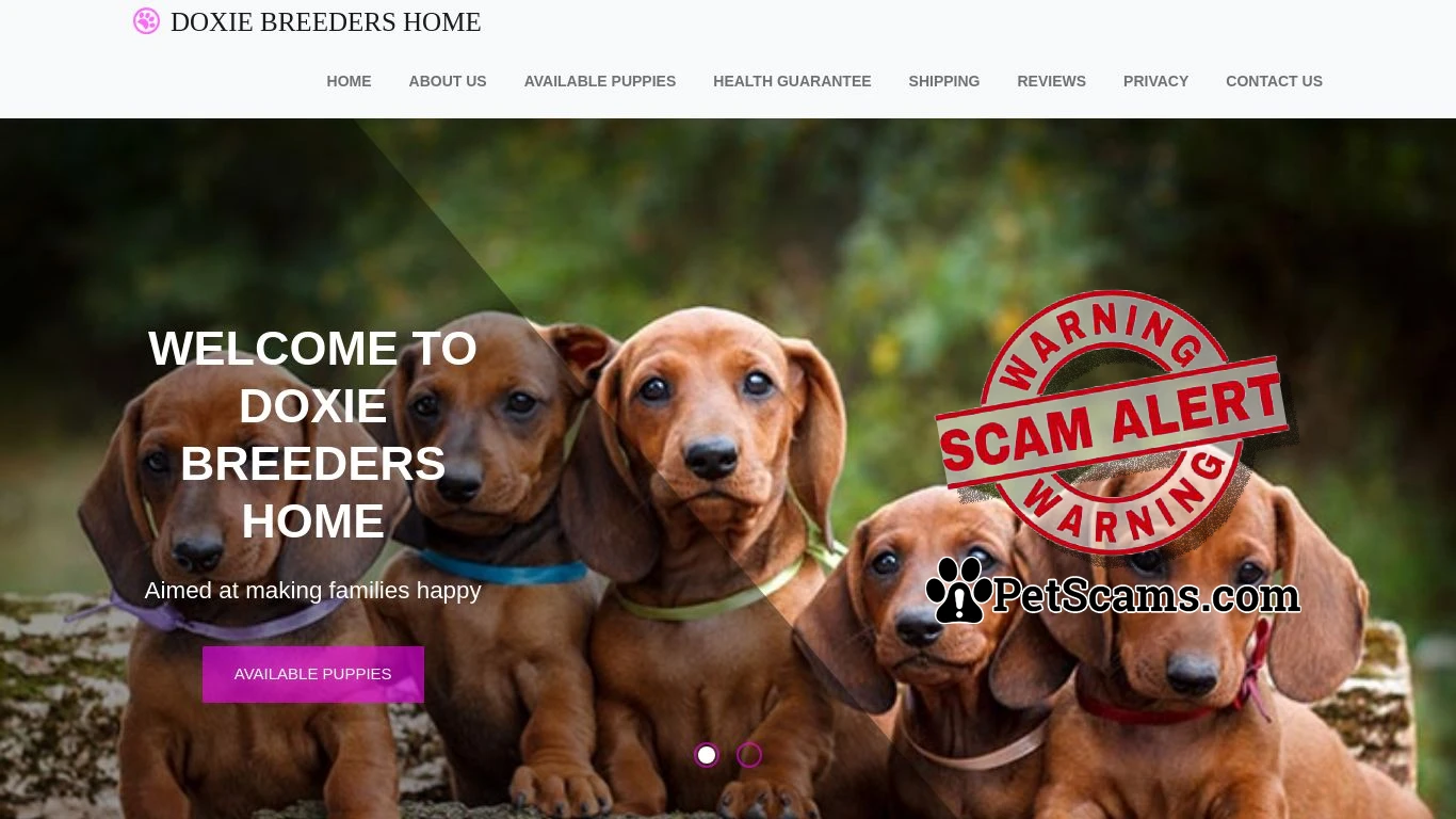 is Welcome To Doxie Breeders Home Puppy Website - Aimed at making families happy. legit? screenshot
