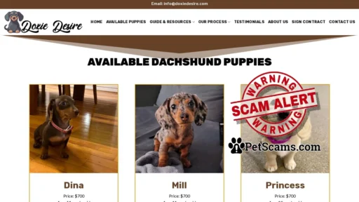 Scam Website: Doxie Desire – Cute Puppies For Sale