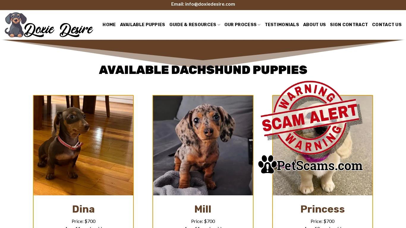 is Doxie Desire – Cute Puppies For Sale legit? screenshot