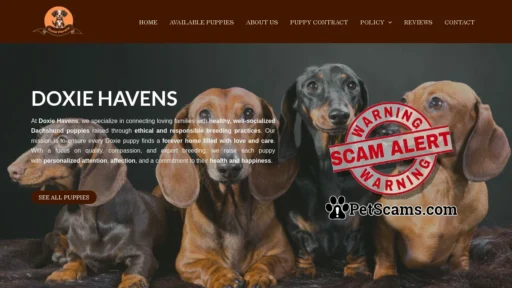 Scam Website: Doxie Havens – Buy Doxie pups online