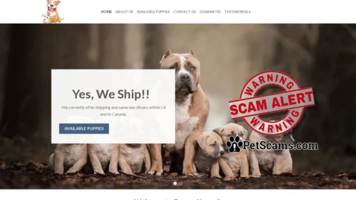 Scam Website: Dream Kennel