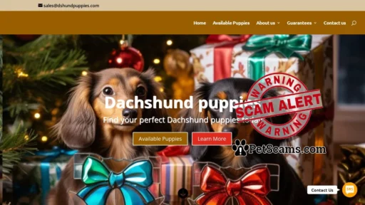 Scam Website: Home - Dachshund puppies for sale