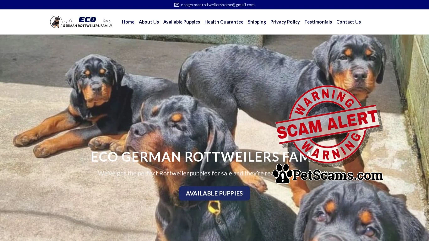 is Rottweiler puppies for sale near me - Eco German Rottweilers Family legit? screenshot