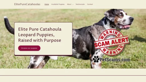 Scam Website: Elite Pure Catahoula Leopard Dogs - Healthy Catahoula Puppies for sale – ElitePureCatahoulas