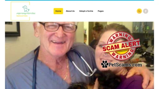 Scam Website: Save Rescued Yorkies