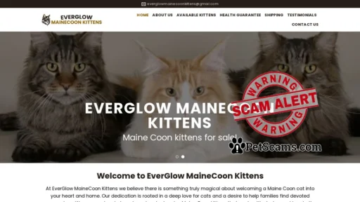 Scam Website: HOME - EverGlow MaineCoon Kittens