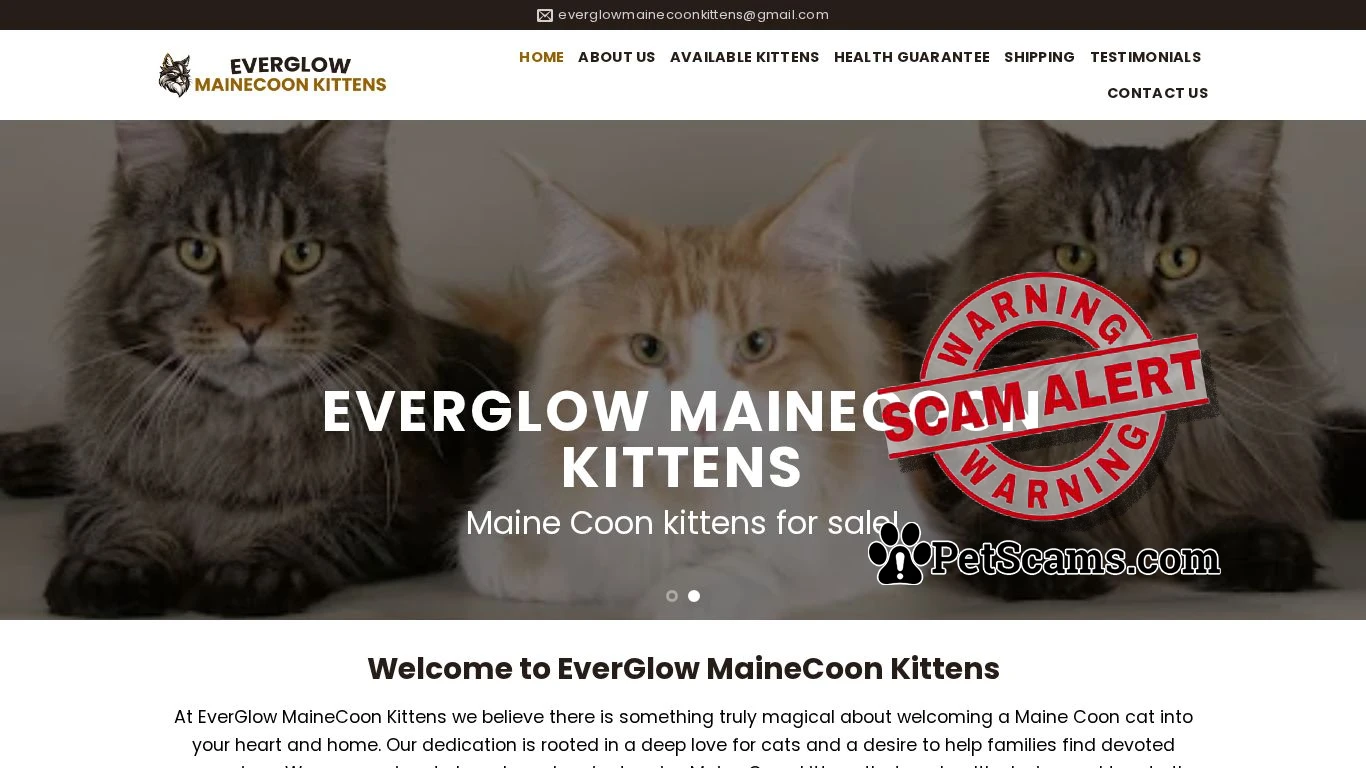 is HOME - EverGlow MaineCoon Kittens legit? screenshot