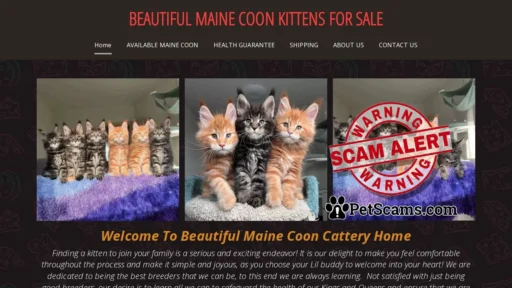 Scam Website: Fluffy Maine Coon Kittens and Cats For Sale
