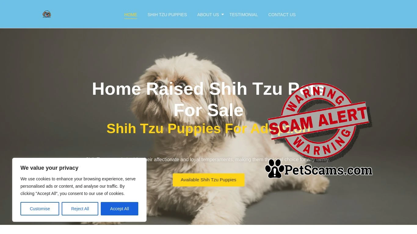 is shihtzu puppies for sale – shihtzu pets for adoption legit? screenshot