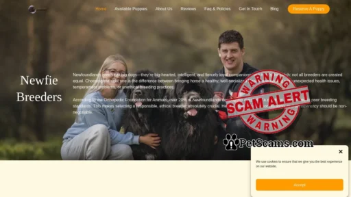 Scam Website: Newfie breeders - Gentle Giant Newfies Puppies - Licensed Newfies Breeders