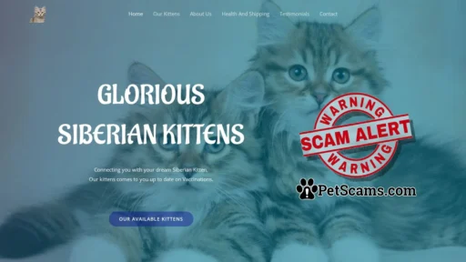 Scam Website: Glorious Siberian Kittens Home
