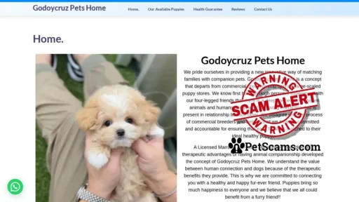 Scam Website: Godoycruz Pets Home