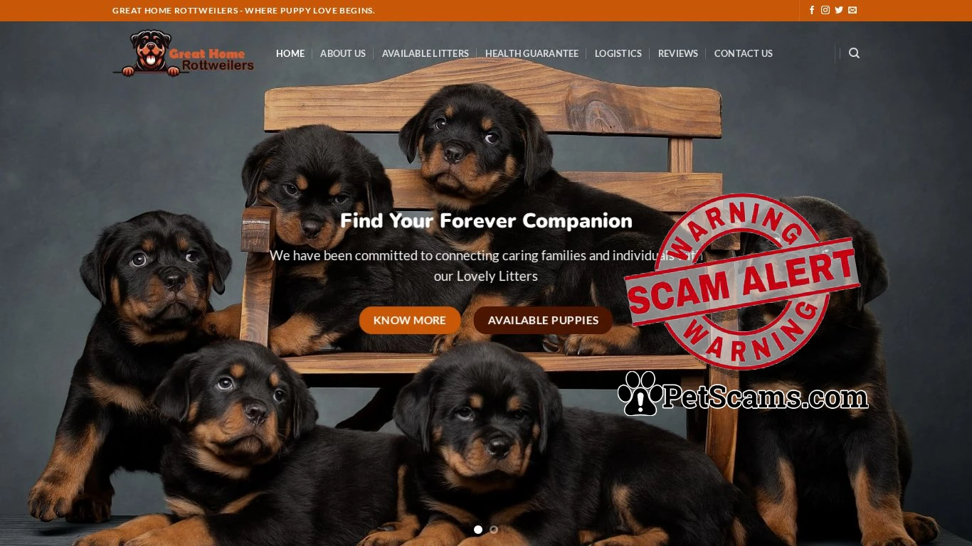 is greathomerottweilers.com legit? screenshot