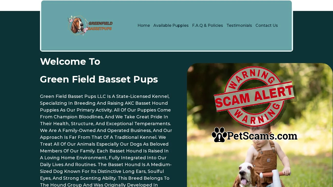 is Green Field Basset Pups – Registered Basset Hound Puppies legit? screenshot