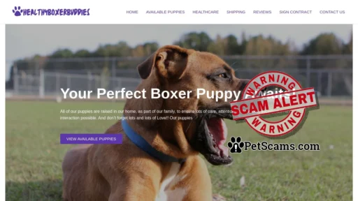 Scam Website: healthyboxerbuddies.com