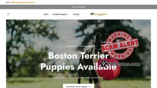 Scam Website: Home of Puppies Connection – Cute And Fluffy