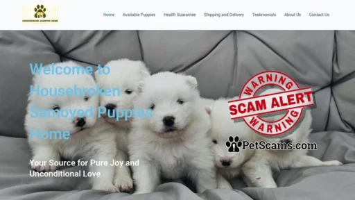 Scam Website: Housebroken Samoyed Puppies Home – Buy home raised Samoyed Puppies that are vet checked